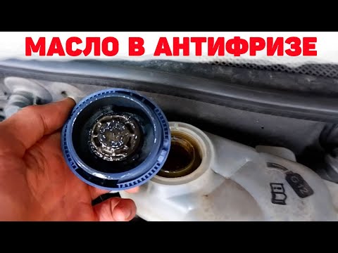 Видео: Масло в антифризе. Причины . Audi A6C5 2.5 TDI V6.