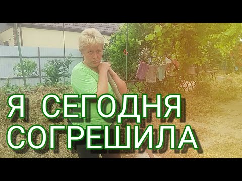 Видео: Две Хозяйки во дворе