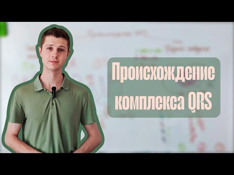 Видео: Происхождение комплекса QRS на ЭКГ.