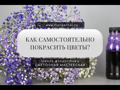 Видео: Как самостоятельно покрасить цветы?