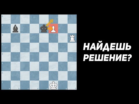 Видео: КАК ВООБЩЕ ПРОВЕСТИ ПЕШКУ??