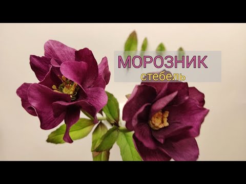 Видео: Стебель для морозника | Как закрепить цветок