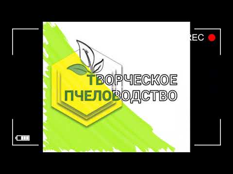 Видео: Маломедные рамки в центре гнезда - основная ошибка при организации зимовки.