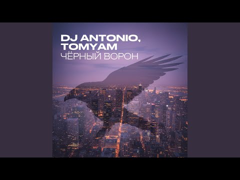 Видео: Чёрный ворон