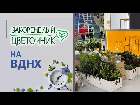 Видео: Выставка на ВДНХ. Участие в выставке Дизайн и интерьер в мае 2023 года. Что остается за кадром