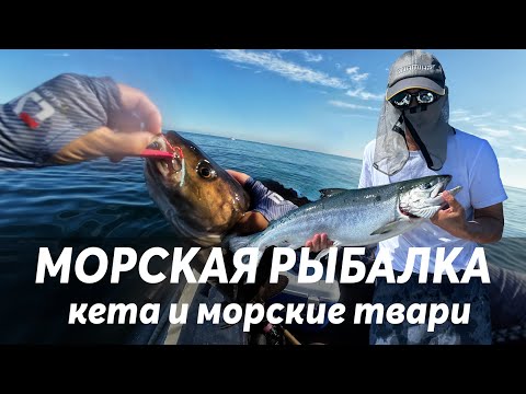 Видео: КЕТА | САХАЛИН | И куча разных рыб