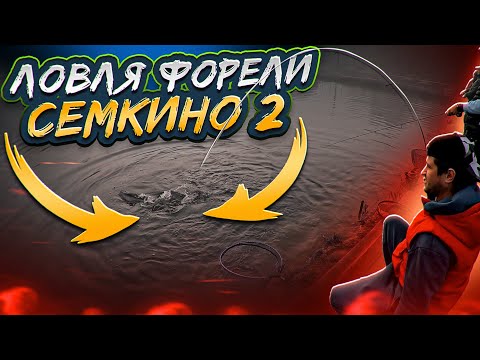 Видео: Ловля форели! Открытие сезона осень 2023!