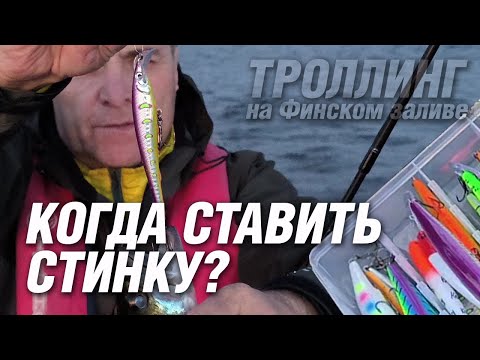 Видео: Когда ставить воблер LureMax STINKA? Особенности троллинга на Финском заливе