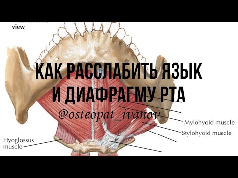 Видео: Работа с диафрагмой рта и корнем языка. Тест подьязычного нерва