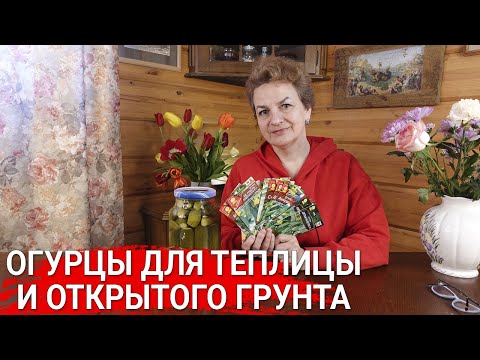 Видео: Огурцы для теплицы и открытого грунта