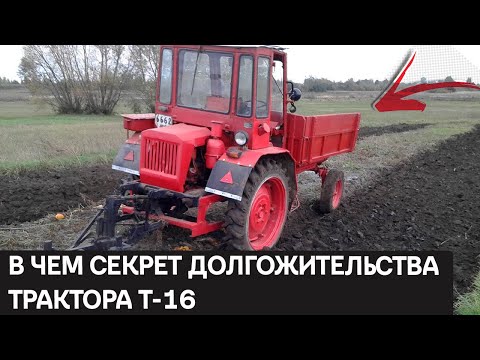 Видео: Т-16: Обзор, история и интересные факты о необычном советском тракторе