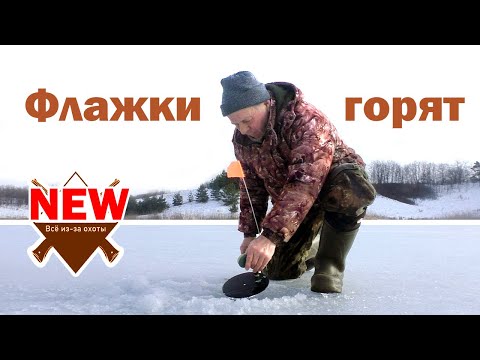 Видео: Флажки Горят!