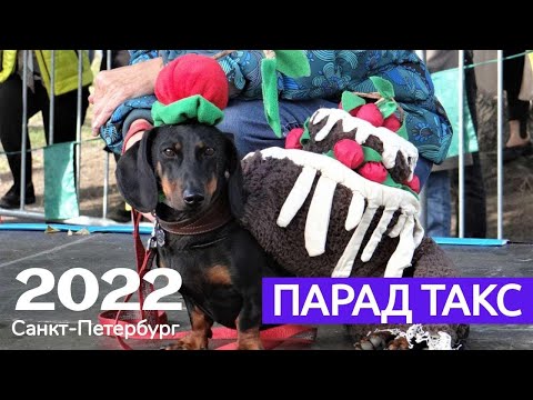 Видео: Такс-парад 2022: Костюмы, представленные на подиуме по теме "Еда"