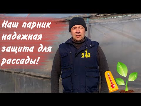 Видео: Бюджетный и надёжный парник для ранней рассады!