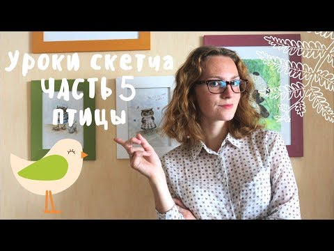 Видео: Уроки СКЕТЧА часть 5 \\ как рисовать ПТИЦ