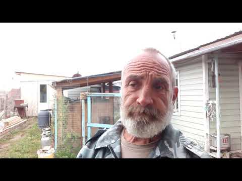 Видео: отруби для кур.