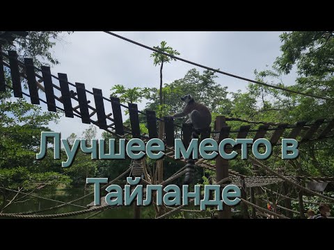 Видео: Зоопарк khao kheow. Самый большой зоопарк Таиланда. Зоопарк после пандемии. Экскурсии в Паттайе 2024