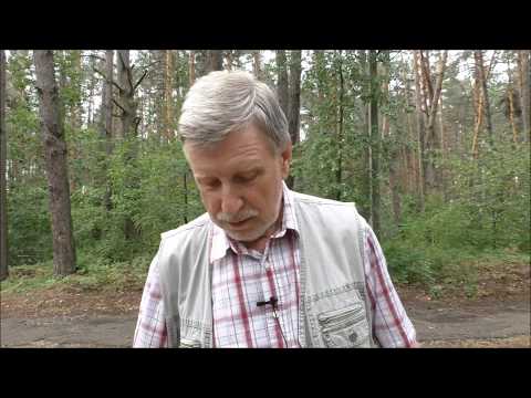 Видео: Интервью-Владимир Карикаш-Клиенты, которым не помогла психотерапия