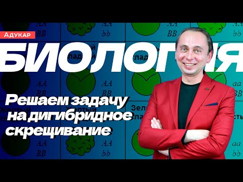 Видео: Решение задачи на дигибридное скрещивание | Биология