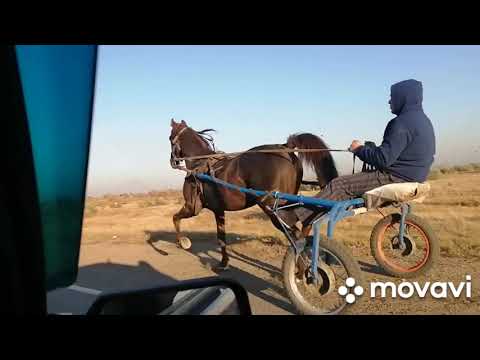 Видео: Ваня пласто