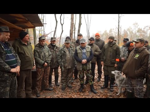 Видео: Полювання на копитного звіра на Бродівщині (ТК "Трофей")
