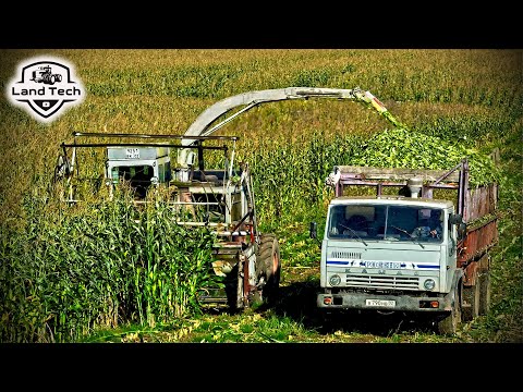 Видео: Запустили старый кормоуборочный комбайн КСК-100А на уборку кукурузы на силос!