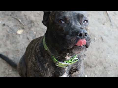 Видео: Последний день лета 2021