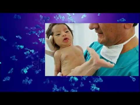 Видео: Биология 9 класс. Тема: Селекциянын  методдору Шерматова Гүлайым Кубанычбековна