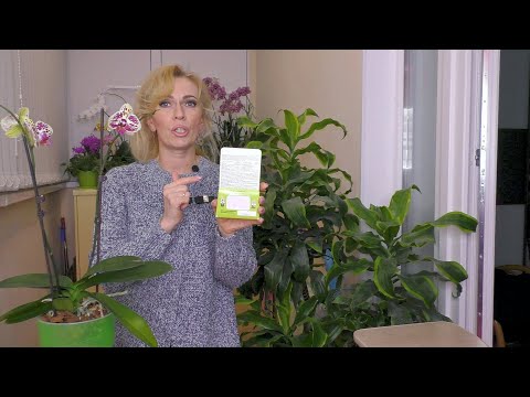 Видео: УЖАСНОЕ удобрение для орхидей! Опять СТРАШИЛКИ...? Это РЕАЛЬНОСТЬ!