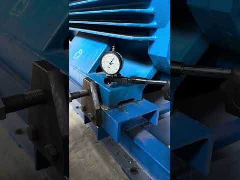 Видео: Мягкая лапа⭐️Измеряем правильно