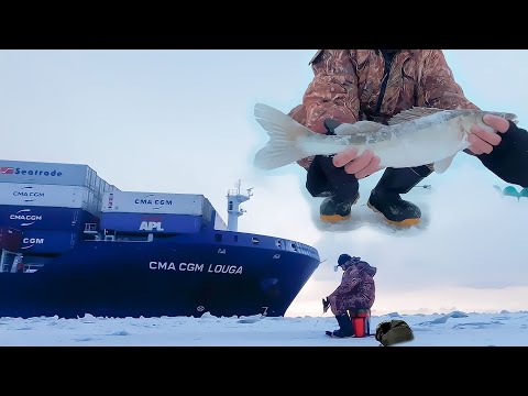 Видео: Зимний судак. Попал на клев судаков и как произошло чудо.