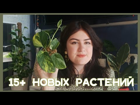 Видео: ИЮНЬ ОБЗОР НОВИНОК🌿🤑