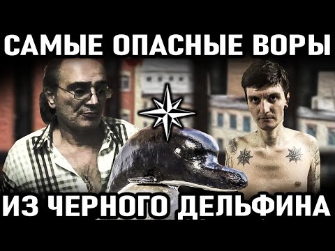 Видео: 5 САМЫХ ОПАСНЫХ воров в законе сидевших в тюрьме Черный Дельфин