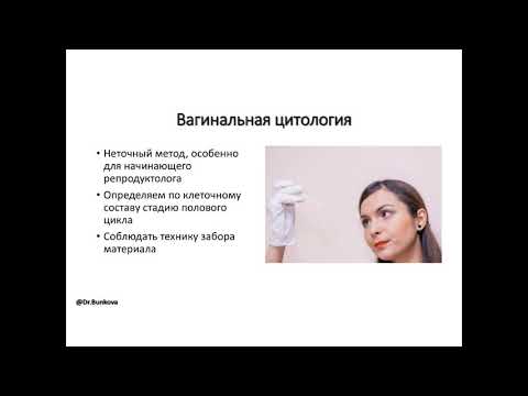 Видео: Определение оптимальных сроков вязки собак