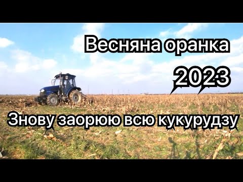 Видео: Весняна оранка 2023. Заорюю кукурудзу під ярий ячмінь