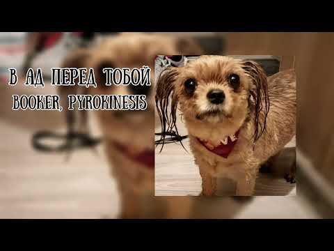 Видео: Pyrokinesis, BOOKER - В ад только перед тобой (speed up)