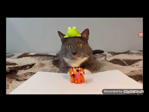 Видео: ЕСЛИ БЫ КОТИКИ ХОДИЛИ В ШКОЛУ БЯБЯДЕЛКИ