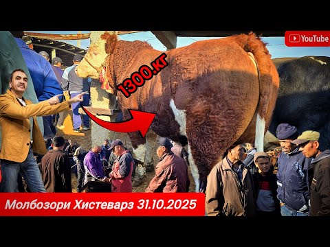 Видео: Молбозори Хистеварз 31.10.2025