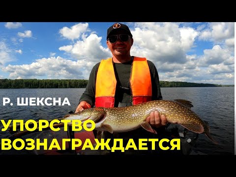 Видео: Рыбалка на реке Шексне | Краткий обзор карты глубин C-MAP