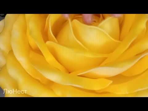 Видео: Роза с клематисами 3 часть