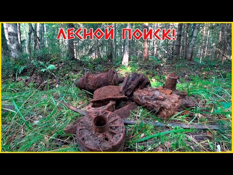 Видео: СОБИРАЕМ ПО ЛЕСУ ТРАКТОРНЫЕ ЗАПЧАСТИ!!! ХОРОШИЙ МЕТАЛЛОЛОМ В СТАРЫХ ДЕЛЯНКАХ!