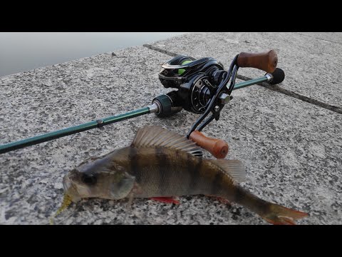 Видео: DAYo Prestige 0,2-0,8g с мультипликаторной катушкой. Мормышинг, ультралайт