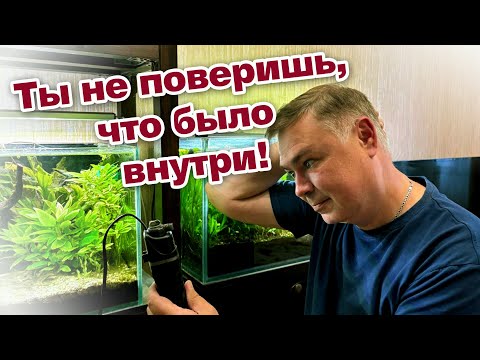 Видео: Что скрывается ВНУТРИ аквариумного фильтра? Результат меня удивил!