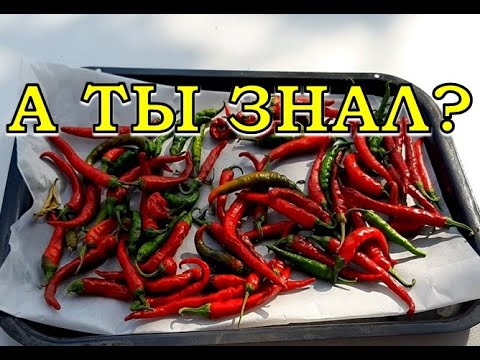 Видео: ОСТРЫЙ ПЕРЕЦ. Варианты сохранения в зиму👌👌👌