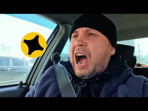 Видео: Алень грузовой на экспрессе🦌