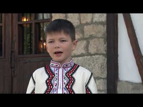 Видео: Никола Султанов- Море пиле, славей пиле