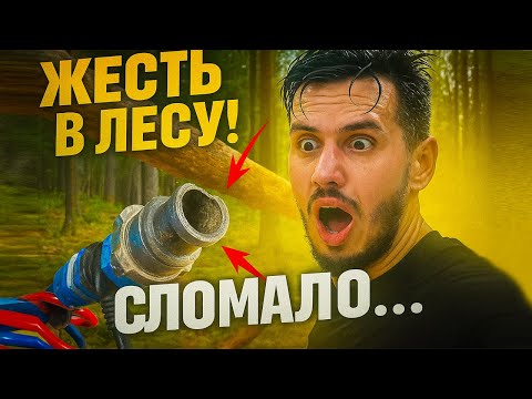 Видео: Как лес ломает технику каждый день...