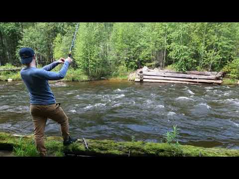 Видео: Тайга. Ловим хариус в августе 2021 , 4K. Fishing on the mountain river, #1