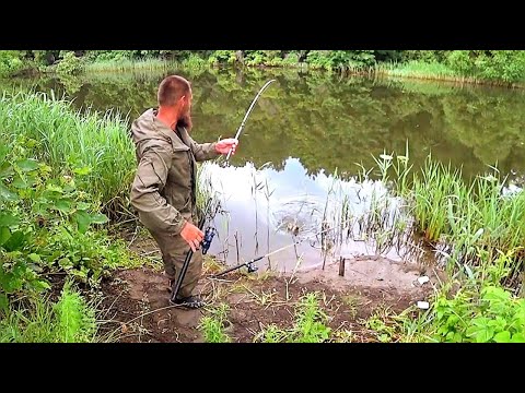 Видео: КАК ТАКОЕ ПРОПУСТИТЬ... ОСЕННИЙ ЖОР РЫБЫ ПРОДОЛЖАЕТСЯ! Рыбалка в кайф.