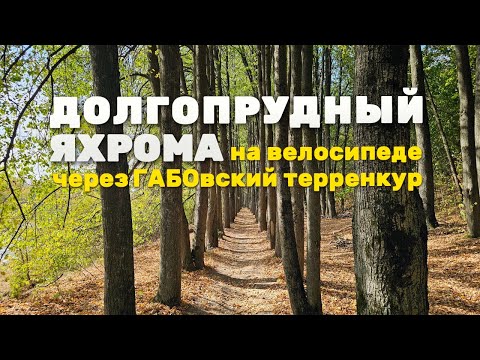 Видео: Долгопрудный - Яхрома через ГАБОвский терренкур и брод